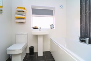 Photo 1- click for photo gallery